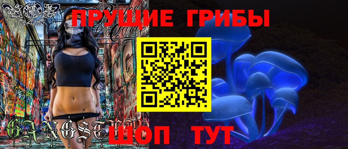 Батайск  Галлюциногенные грибы прущие грибы  Вход с VPN  Галлюциногенные грибы GOLDEN TEACHER 
