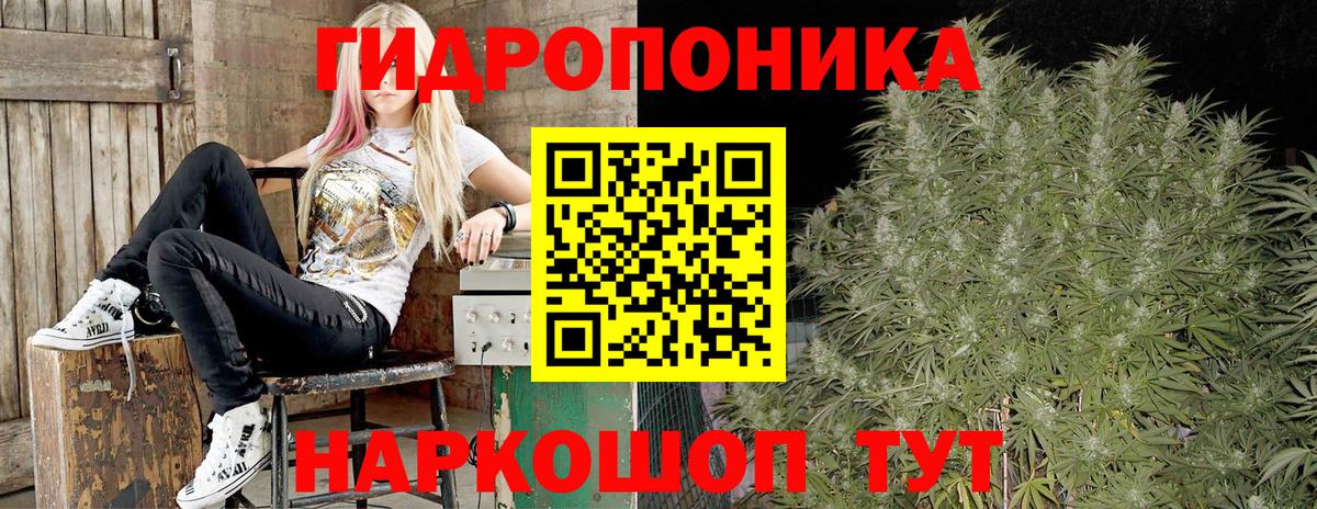 Марихуана планчик  Вход с VPN  Каннабис ГИДРОПОН  Батайск  Каннабис Amnesia 